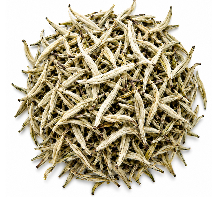 Silver Needle Tips Leo Tea – biała herbata z nierozwiniętych srebrzystych pączków herbacianych